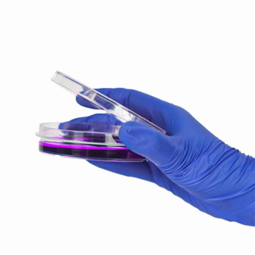 LABPRO QuickFit Cell Culture Dish 100mm, Tissue Culture (TC) Treated, Easy-Grip, Sterile 300 Qty/Ctn LPCP0268